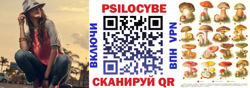 Галлюциногенные грибы прущие грибы  Купить закладки  Новоузенск 